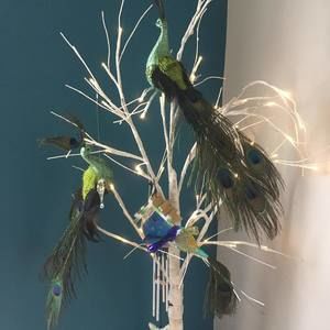 Meet your Posher, Carol